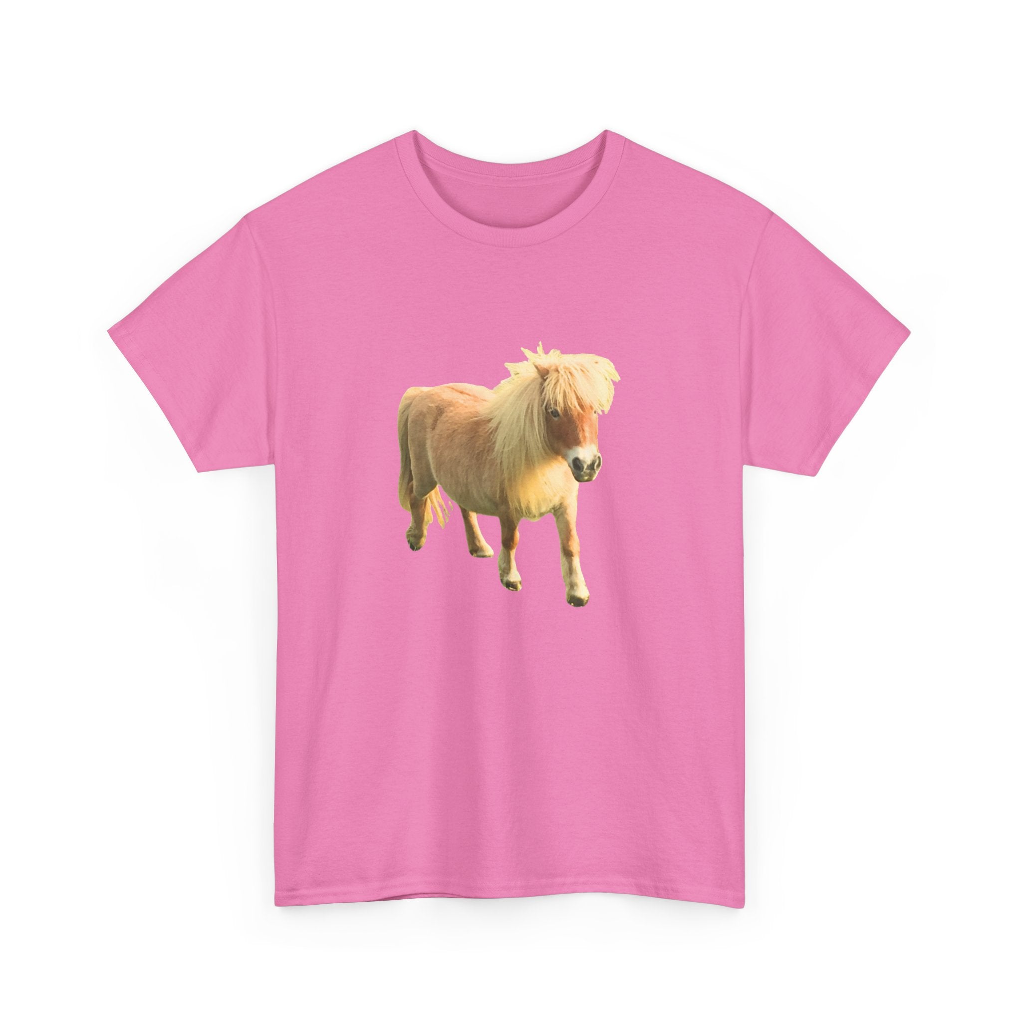 Mini Horse Tee - Cute Pony Graphic T-Shirt