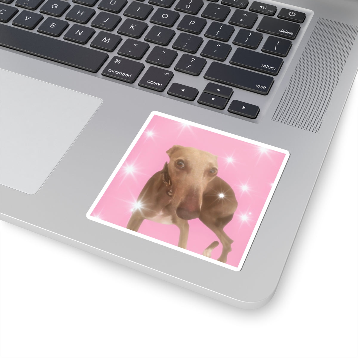 Silly Dog Sticker