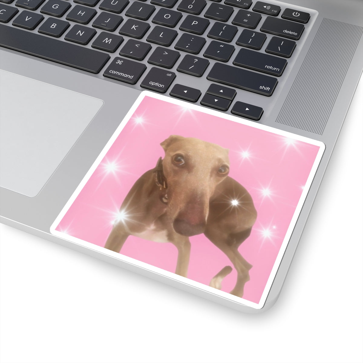 Silly Dog Sticker