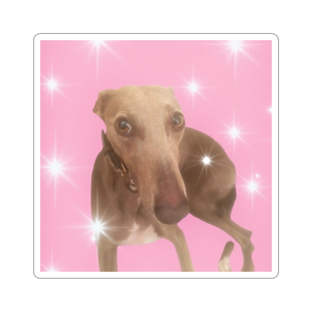 Silly Dog Sticker