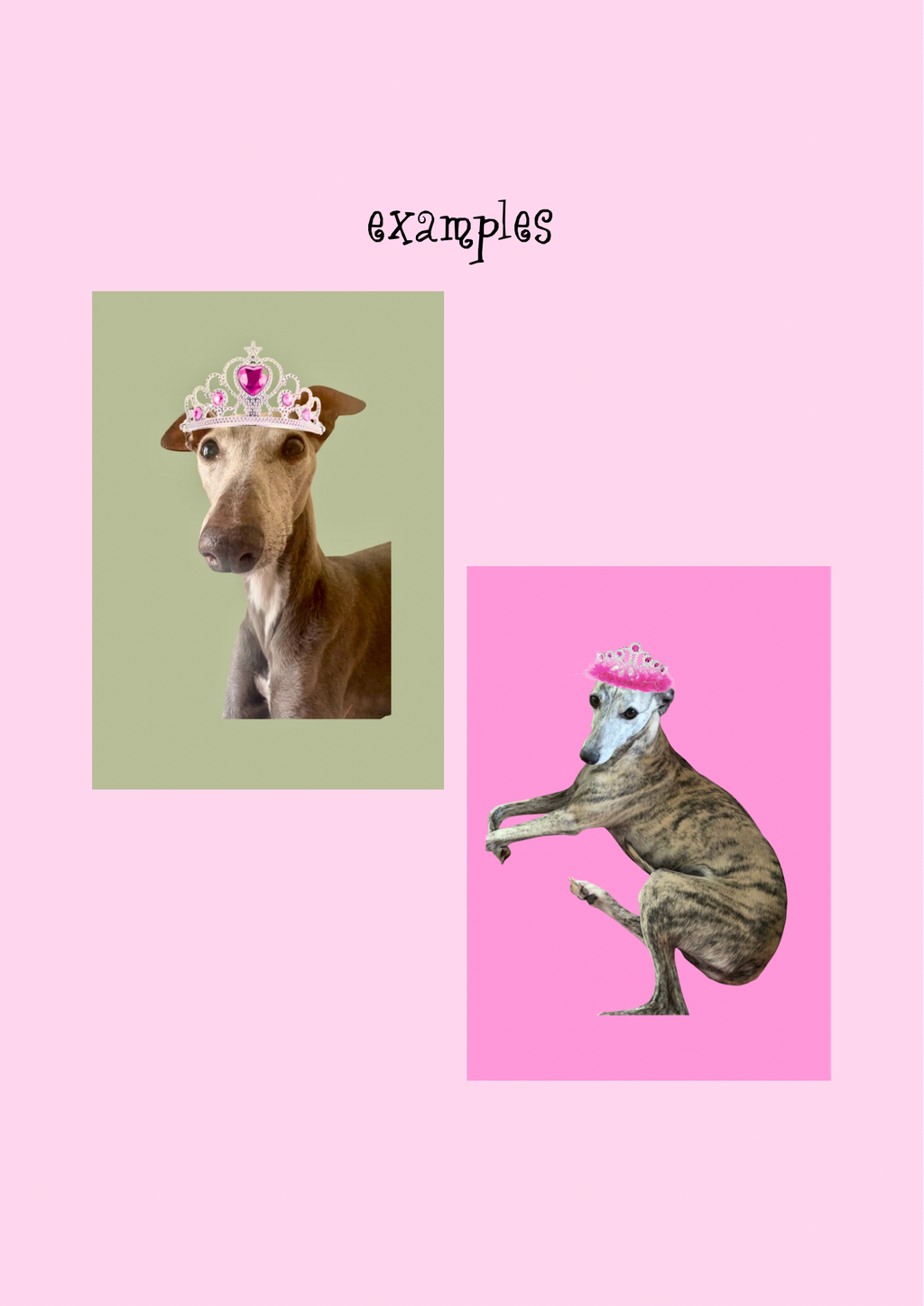 Personalised pet print/poster