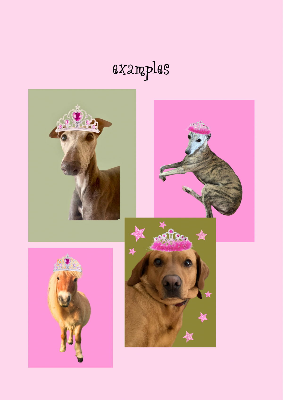 Personalised pet print/poster